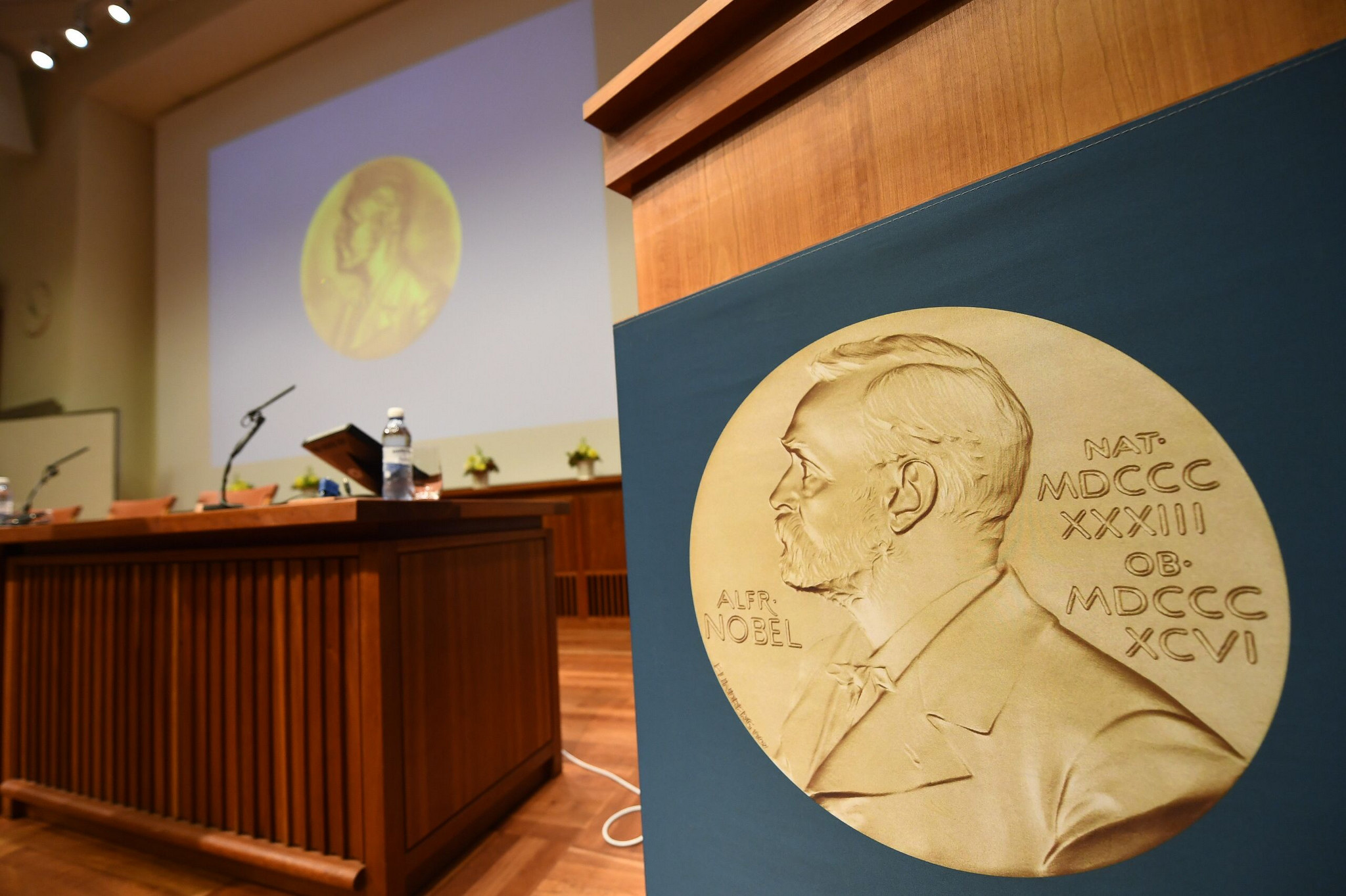 Vis O Teoria Distinguida Nobel Da Qu Mica Est Errada E Foram