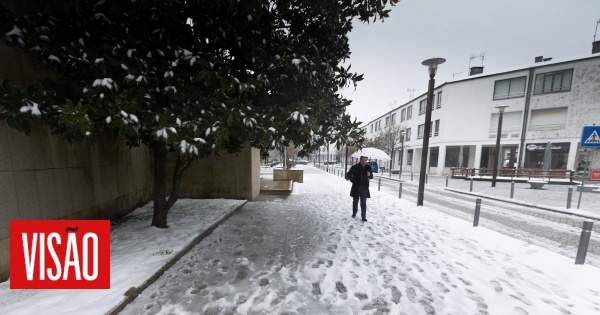 Visão Proteção civil registou 44 ocorrências de queda de neve e árvores