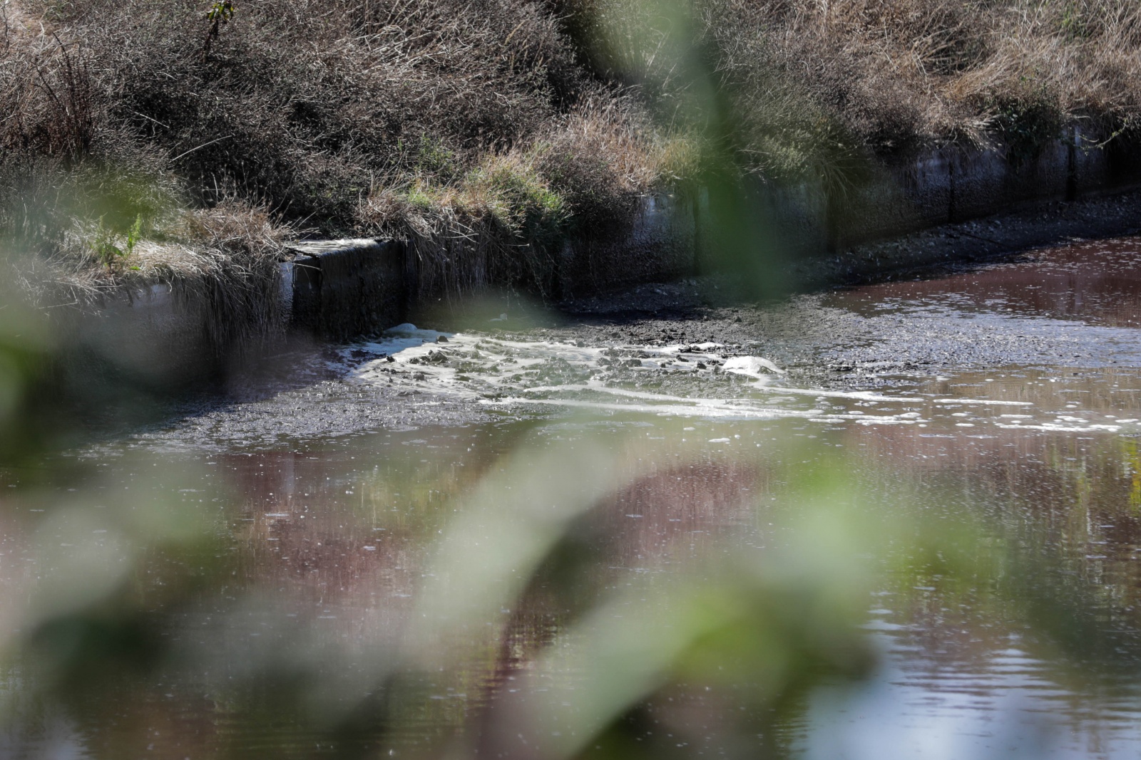 Vis O Servi O De Vigil Ncia Ambiental De Leiria Registou