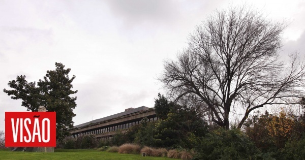 Vis O Orquestra Gulbenkian Abre As Portas No Domingo Para Celebrar