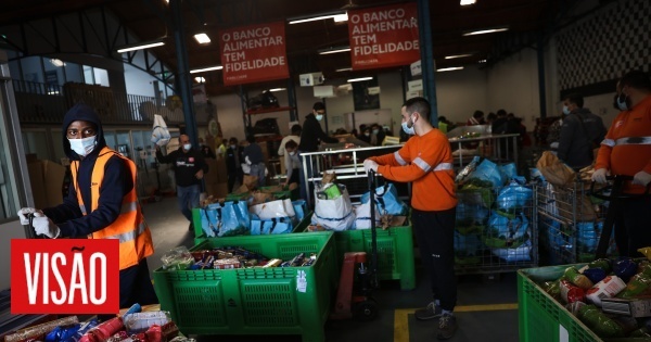 Vis O Banco Alimentar Realiza Nova Campanha De Recolha De Alimentos