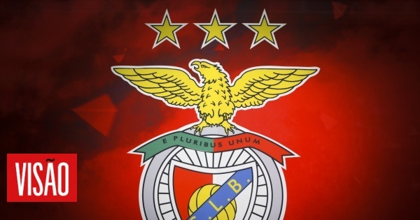 Vis O Sad Do Benfica Informa Cmvm Que Est Acusada De Fraude Fiscal