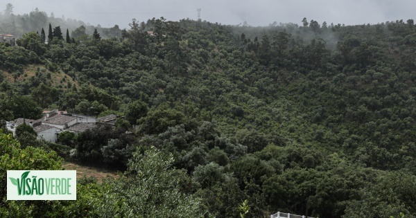 Vis O Programa De Reordenamento E Gest O Da Serra Do Caldeir O Em