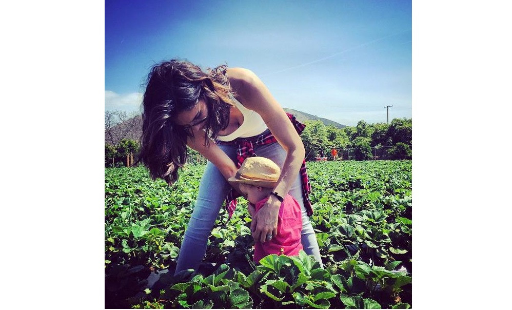 Holofote Daniela Ruah Apanha Morangos Com O Filho