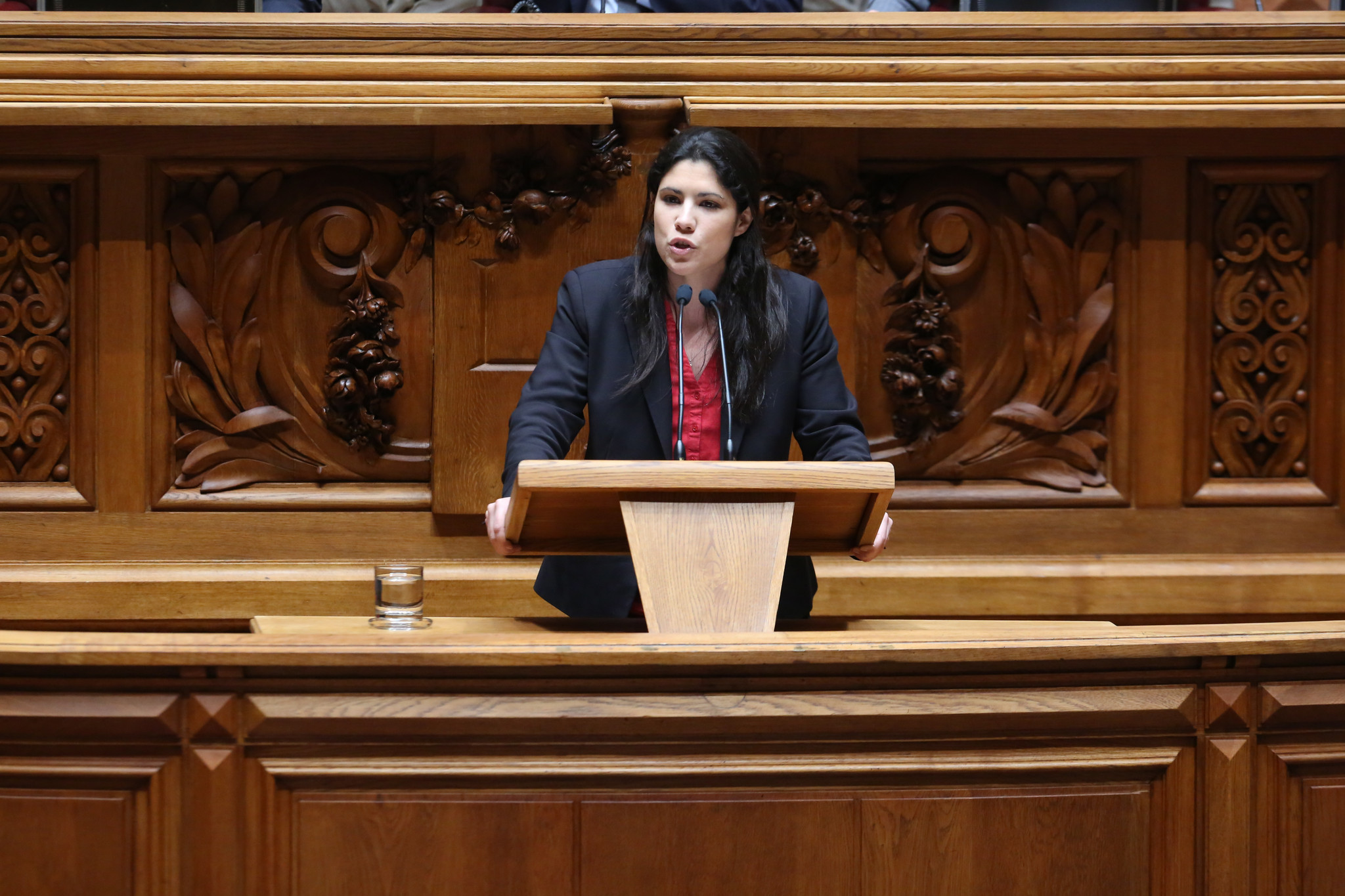 m.mortagua foto nuno botelho.jpg