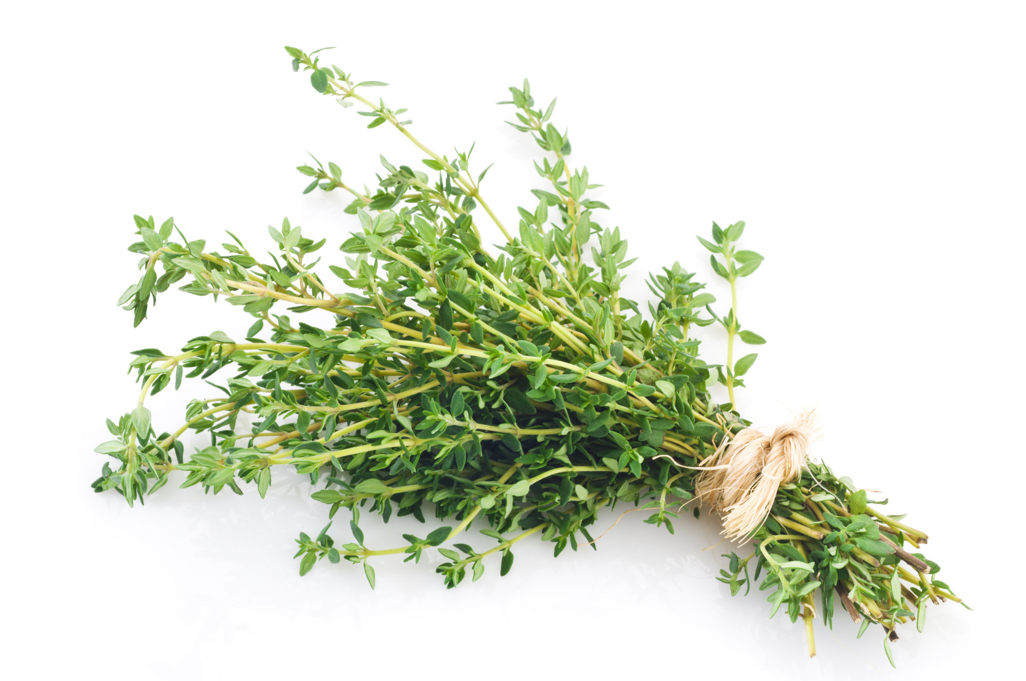 iStock-157568691.jpg