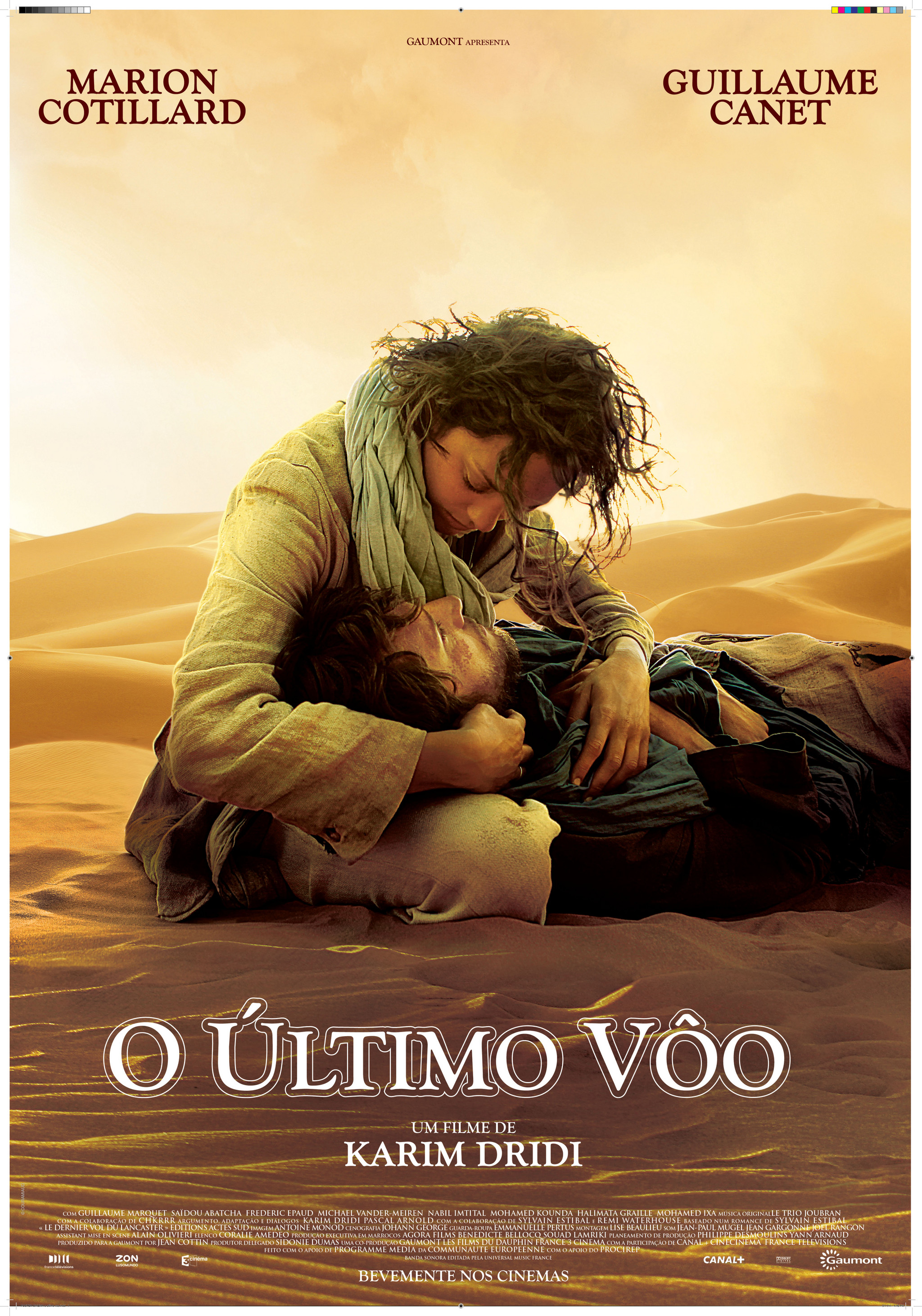 POSTER CINEMA o ultimo voo.jpg