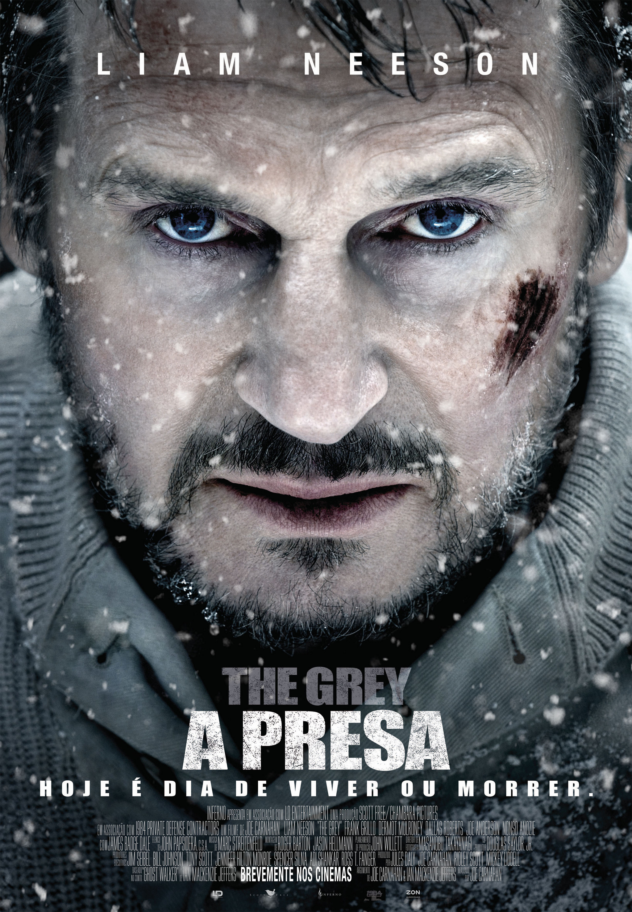 POSTER CINEMA the grey a  presa.jpg