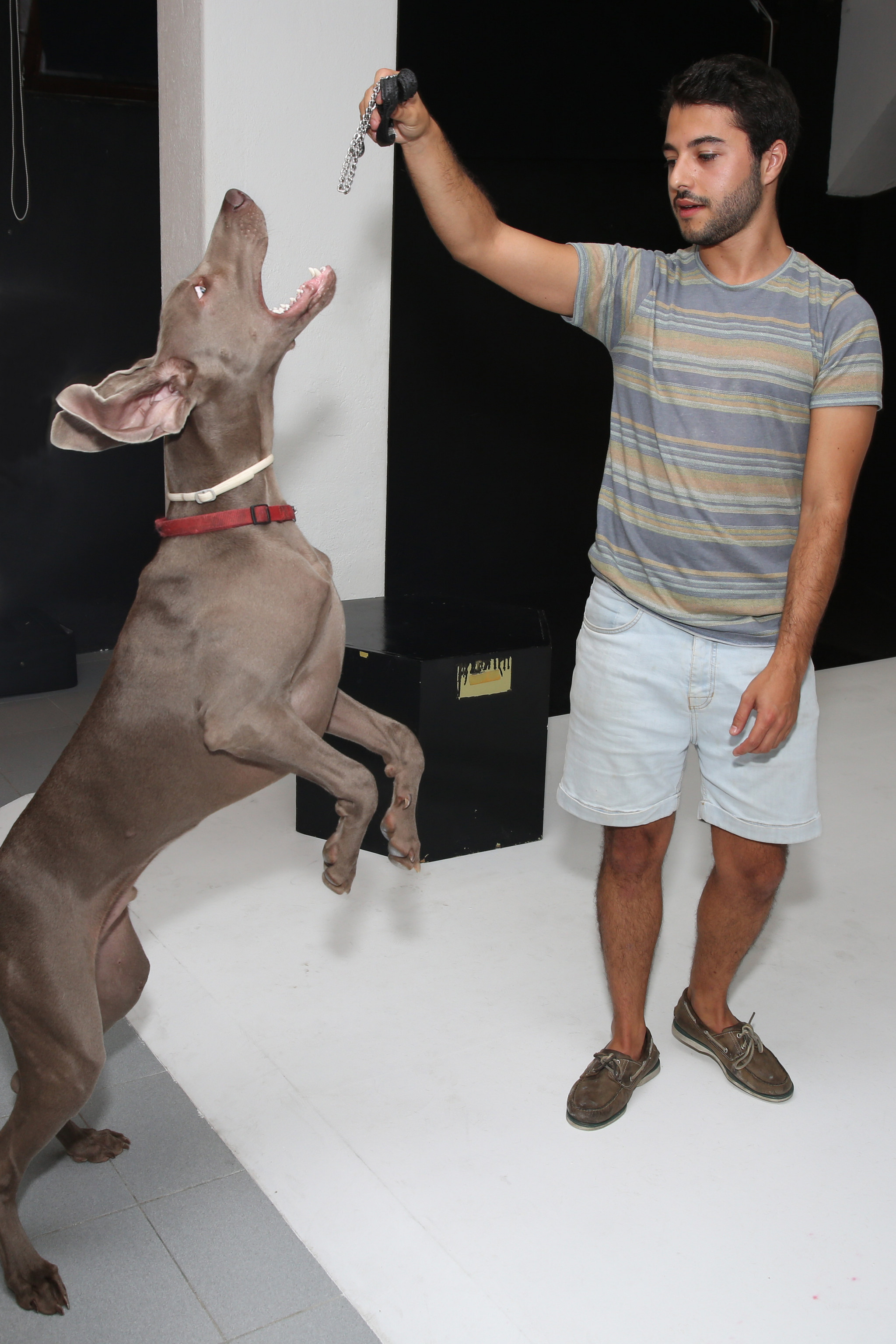 JO-COMPANHIADOSANIMAIS10.JPG