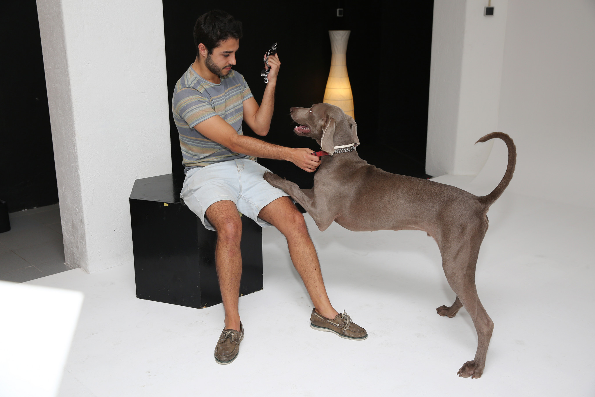JO-COMPANHIADOSANIMAIS9.JPG