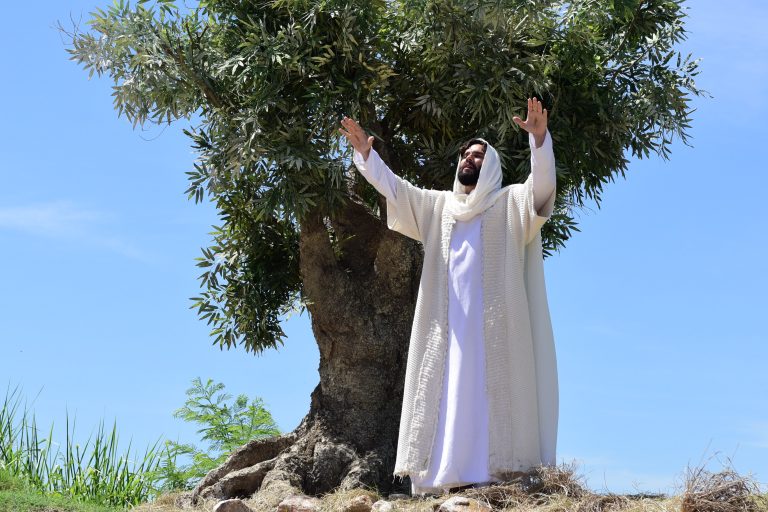 Holofote Esta Semana Em Jesus Jesus Sobe Aos Céus