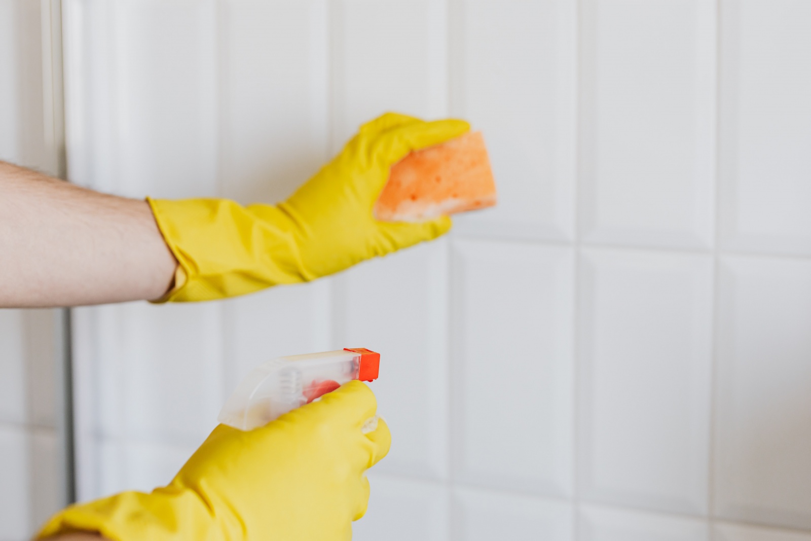 limpar bolor humidade paredes