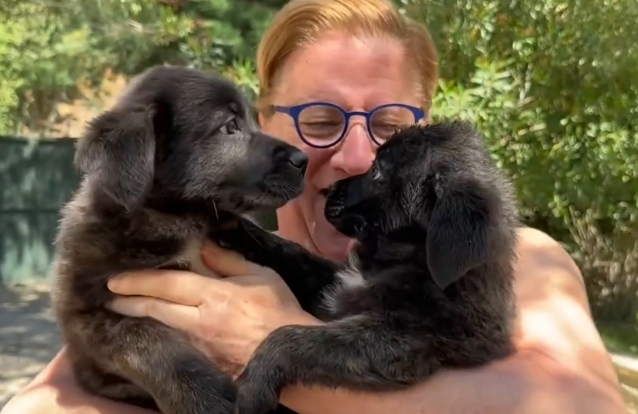 Herman José aumenta a família mas... "o Evaristo ficou desconfiado"
