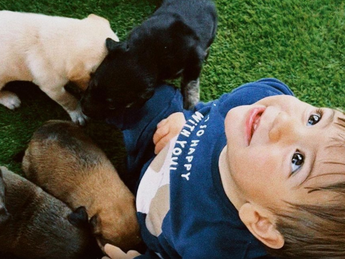 Carolina Carvalho encanta os fãs com vídeo do filho a brincar com cães