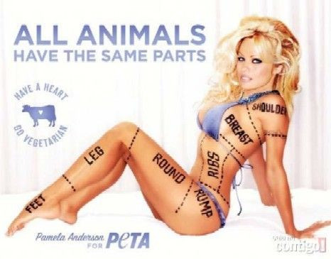 Anúncio de Pamela Anderson proibido no Canadá
