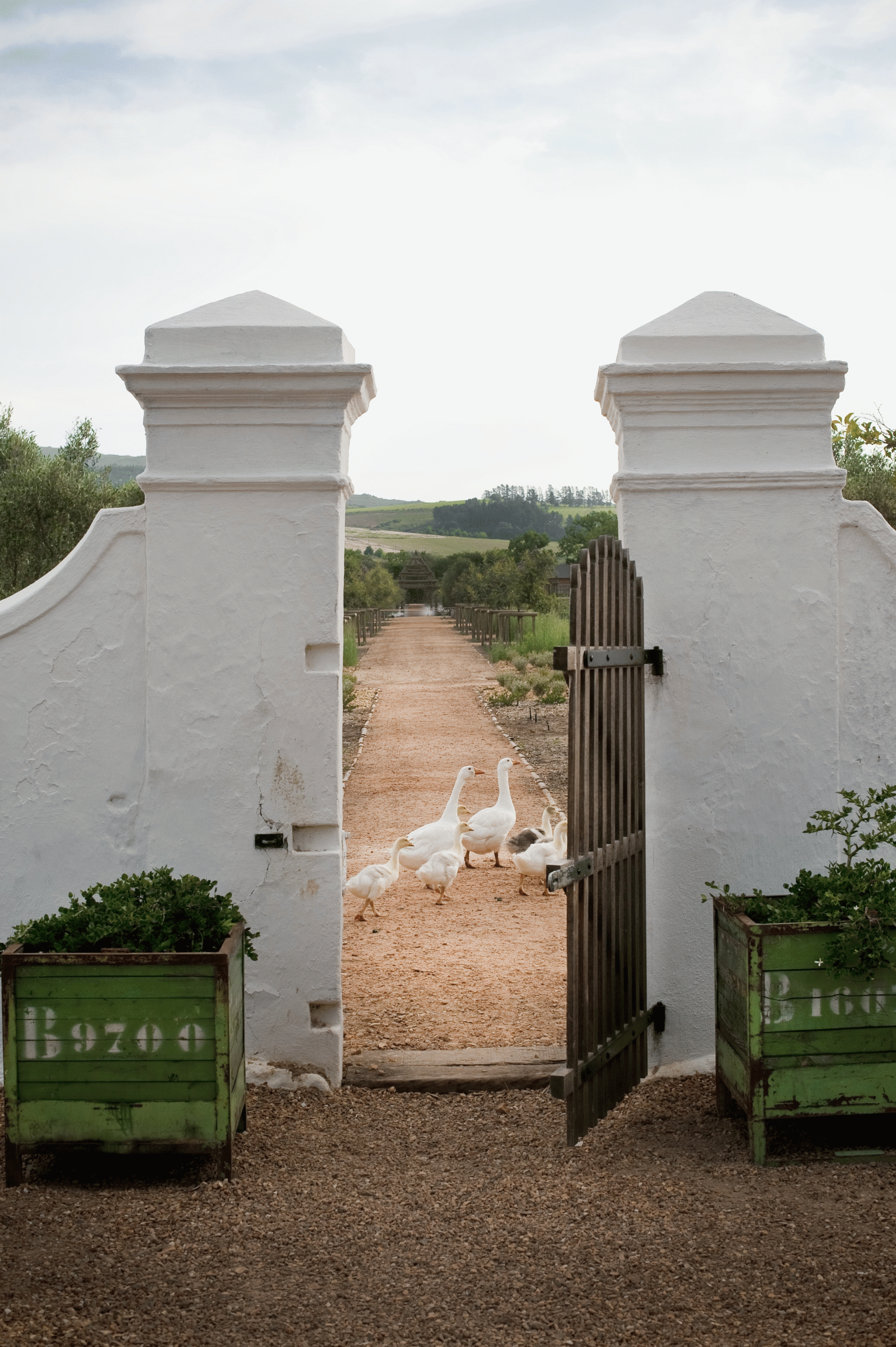 11. old gate view to garden.gif