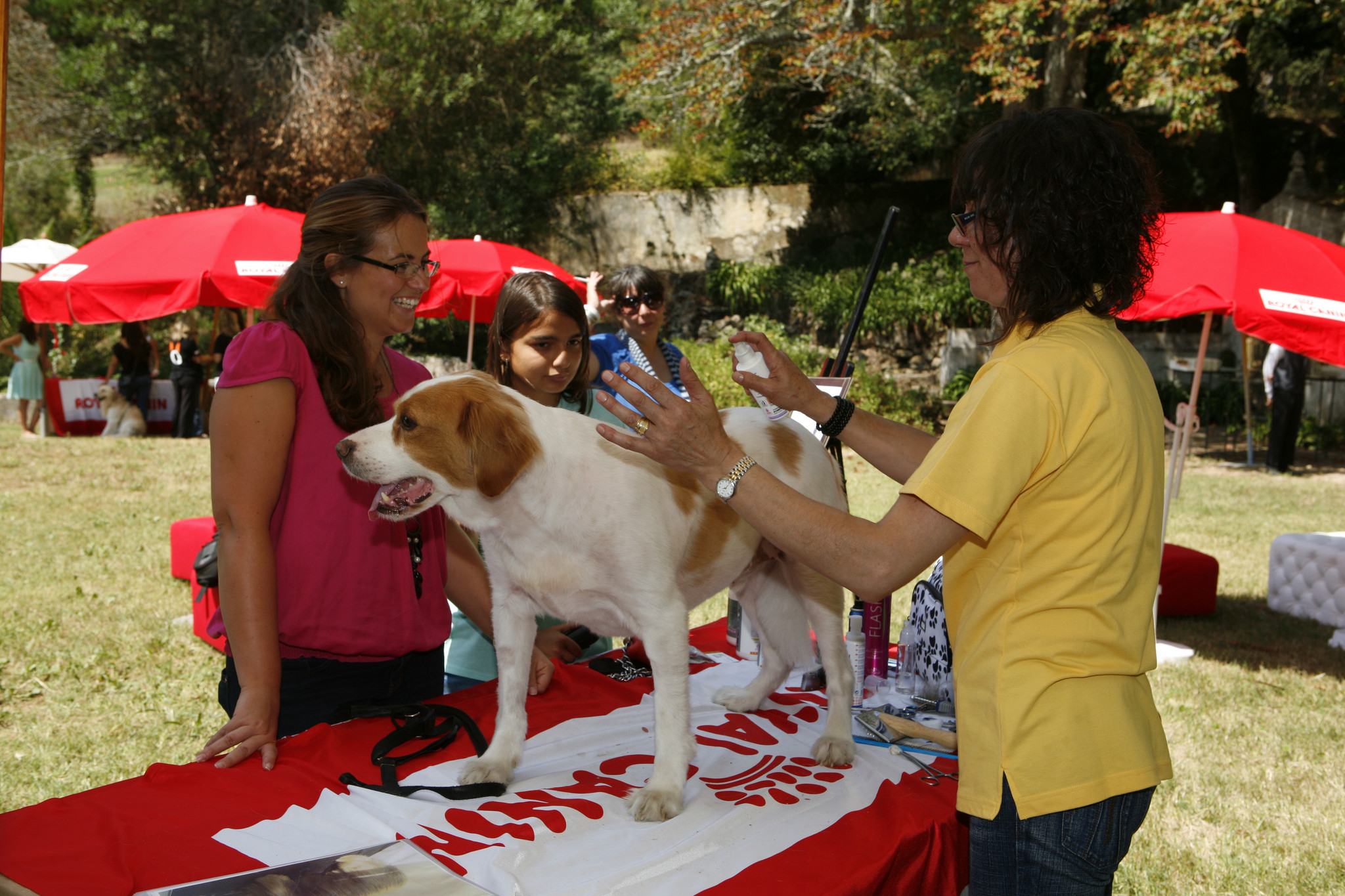 LC-Royal Canin109.JPG