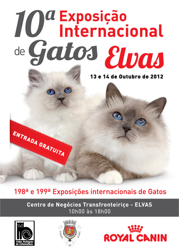 AF-Poster-Exposi&ccedil;&atilde;o-Gatos-Elvas.jpg