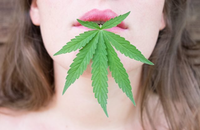 Diferencias entre fumar, vaporizar e ingerir cannabis- Alchimia Grow Shop
