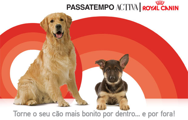 Passatempo Activa | Royal Canin