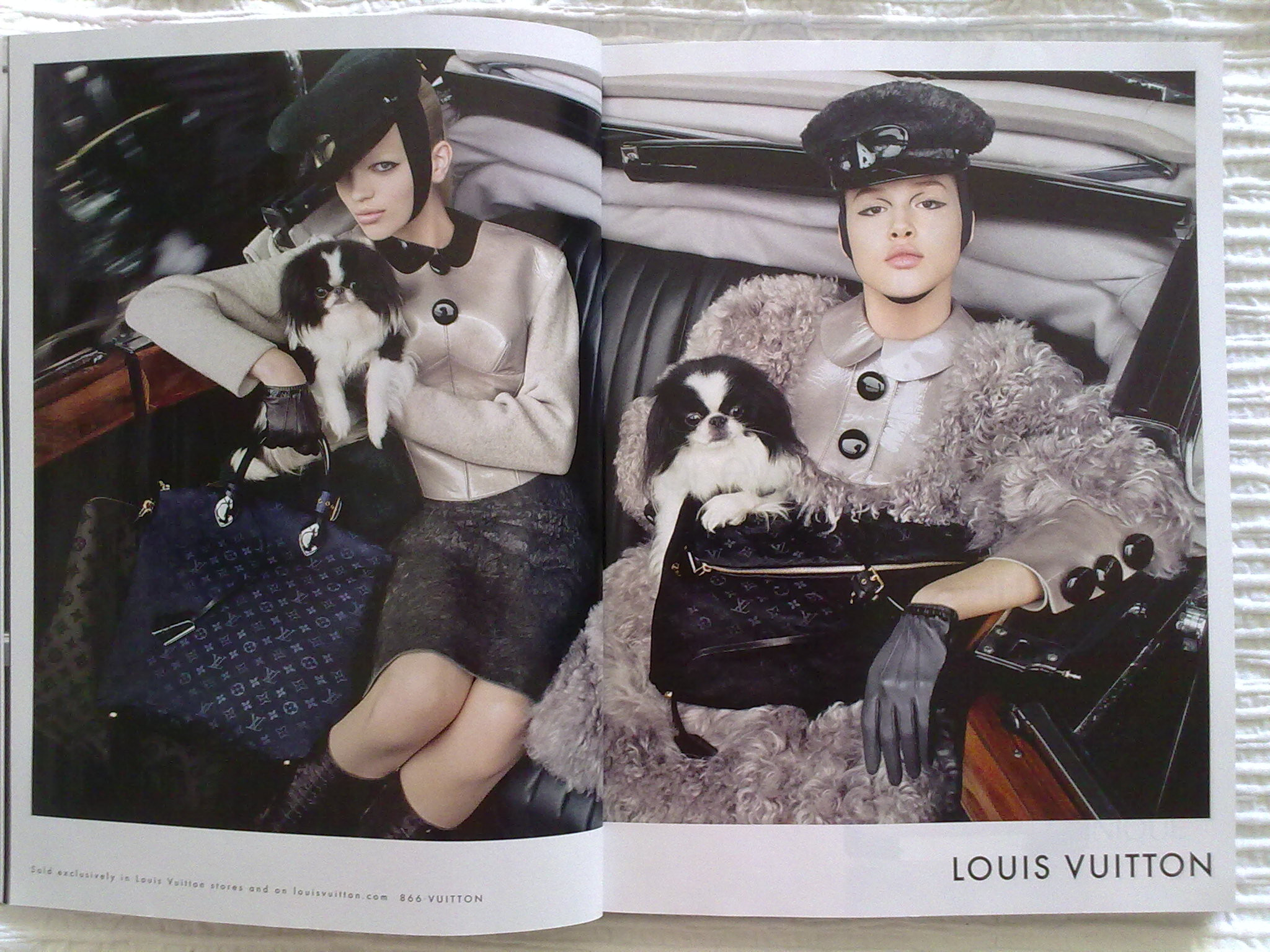Louis Vuitton_out_inv_2011.jpg