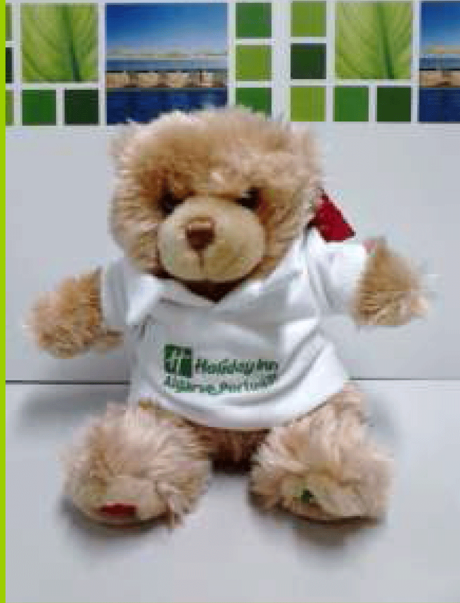 Name-our-Mascote-Teddy-Bear.gif