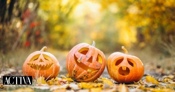 Activa | 5 Sugestões Para A Noite De Halloween