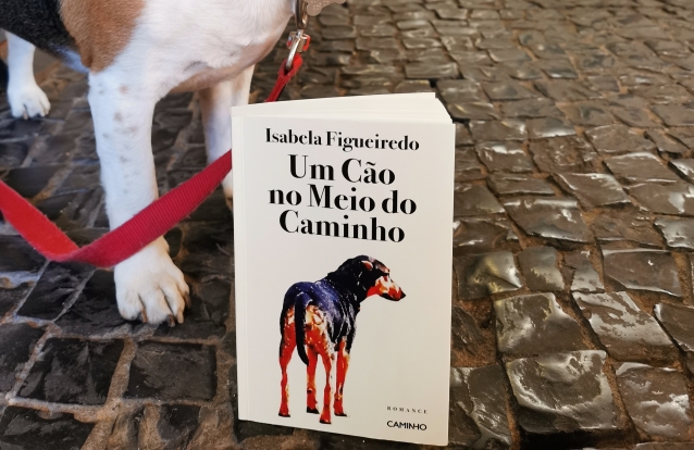 Um Cão no Meio do Caminho by Isabela Figueiredo