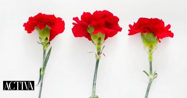 25 livros que deve ter na sua biblioteca de Abril