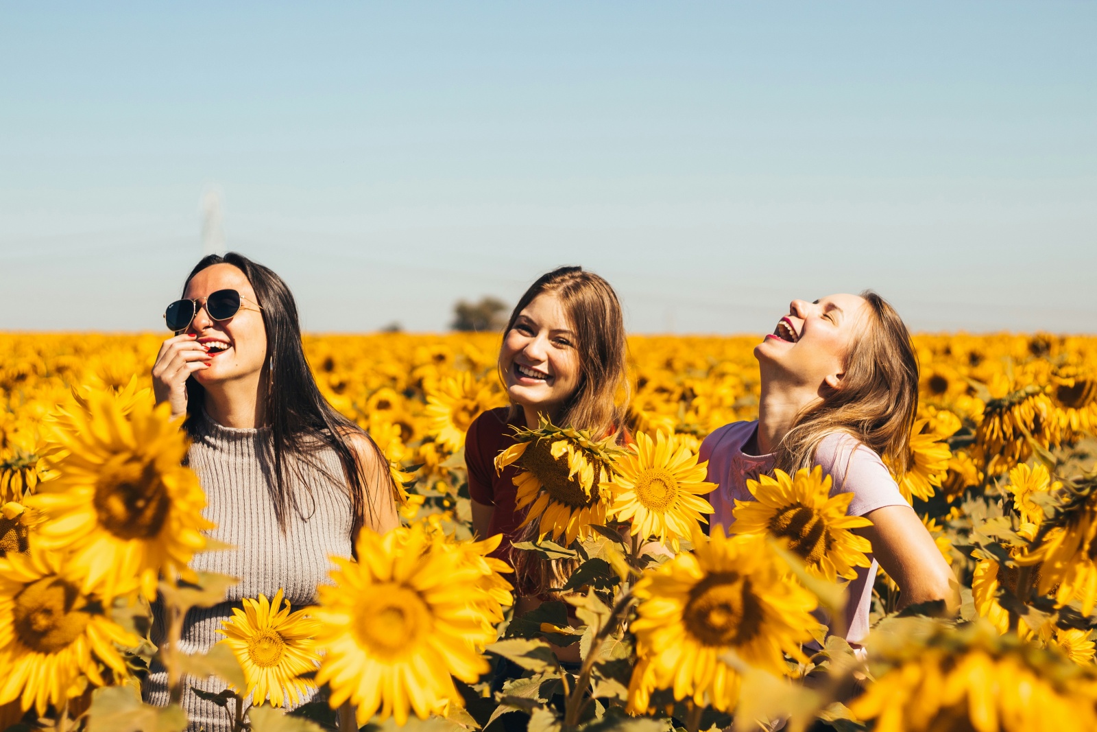 sol verão girassois amigas