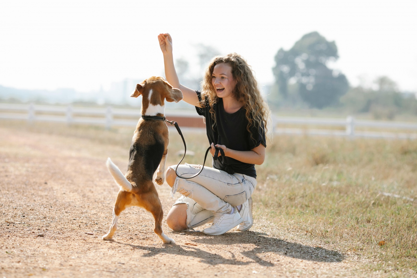 Cinco desportos divertidos e seguros para praticar com o seu cão no verão