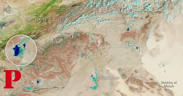 Por que é que partes do deserto do Sara estão a ficar verdes?