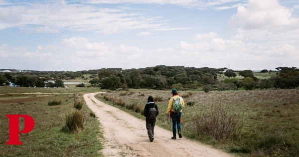 Novo festival quer pôr “todo o Alentejo a caminhar”