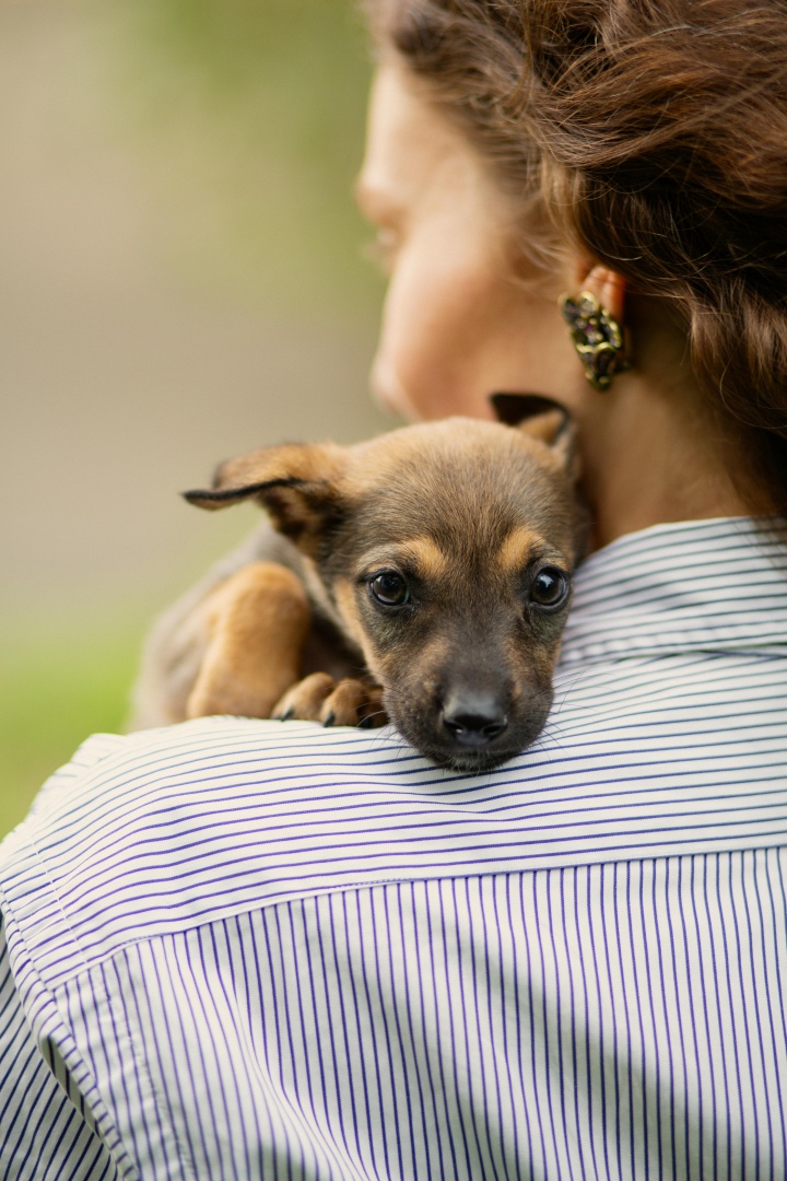 Sabia que o bem-estar animal pode impactar o bem-estar da população?