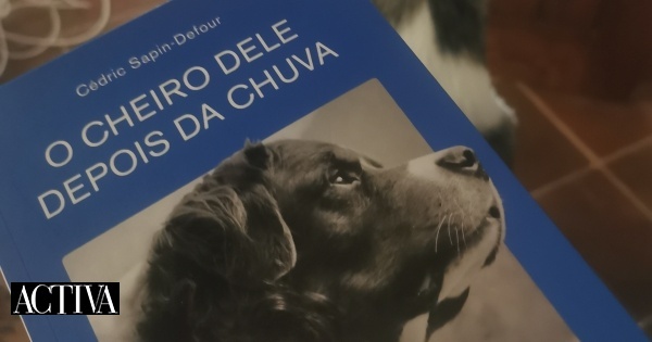 Este livro pôs o mundo a chorar