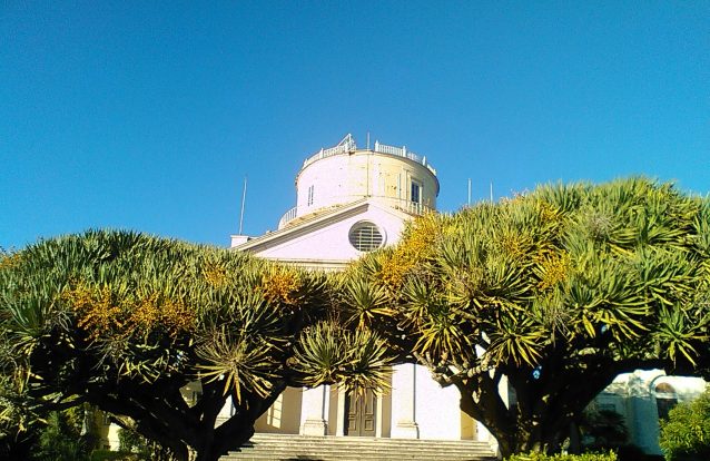 Dragoeiros e estrelas