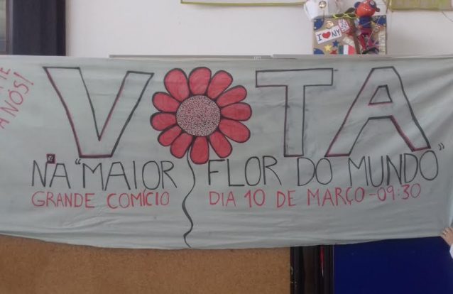 Ovar vai a votos