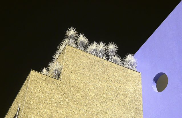 International Garden Photographer Of The Year: A Natureza vista à lente