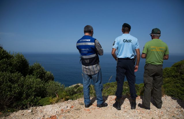 Galeria Fotos Fiscalização Natureza 8