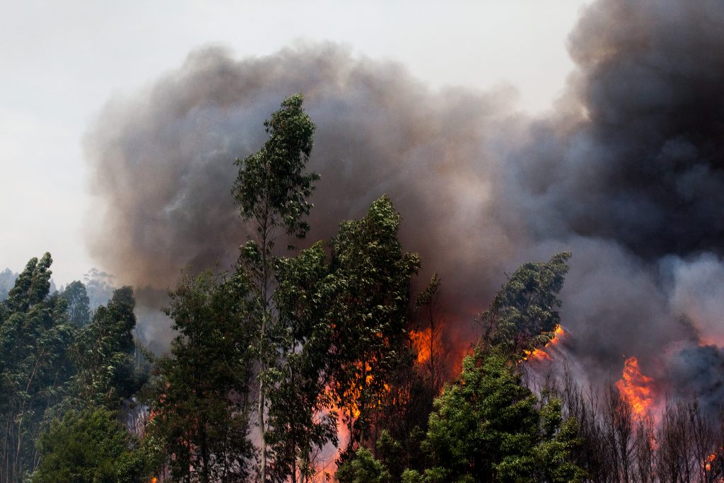As imagens da estrada da morte: Um inferno de chamas, desespero e dor 25