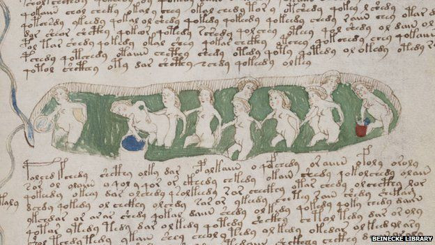 _68289505_voynich_manuscrito151.jpg
