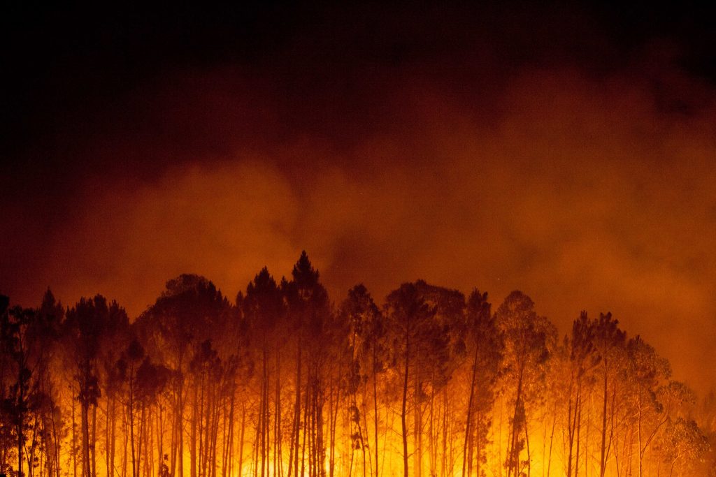 Três imagens que provam a tese de Al Gore