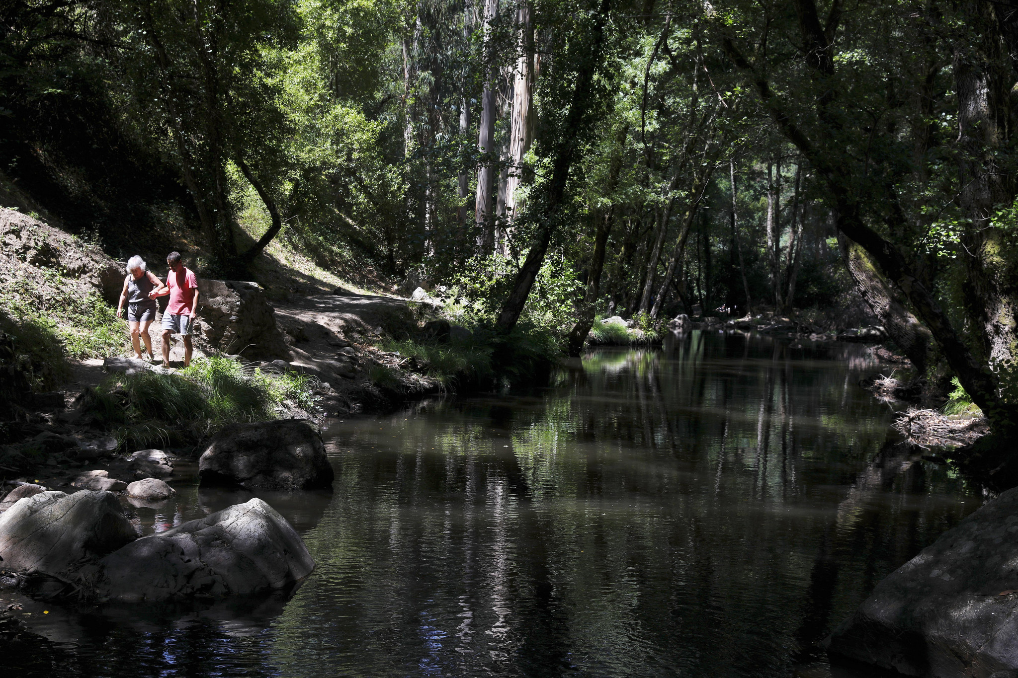 JCC Carlos Simão 01.jpg