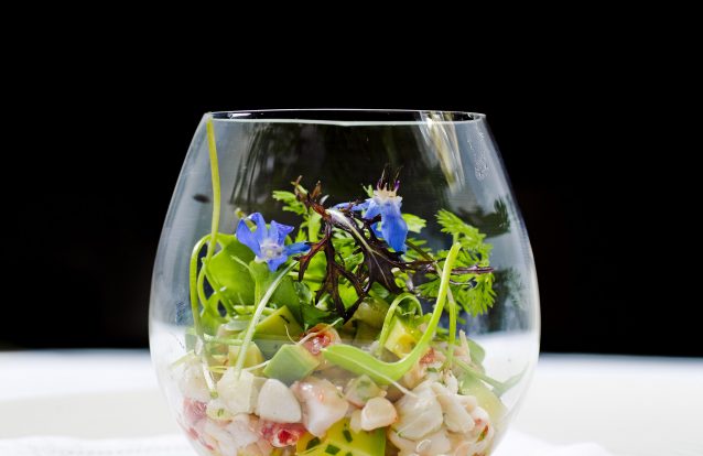 Ceviche de robalo e carabineiro, por Hermínio Costa