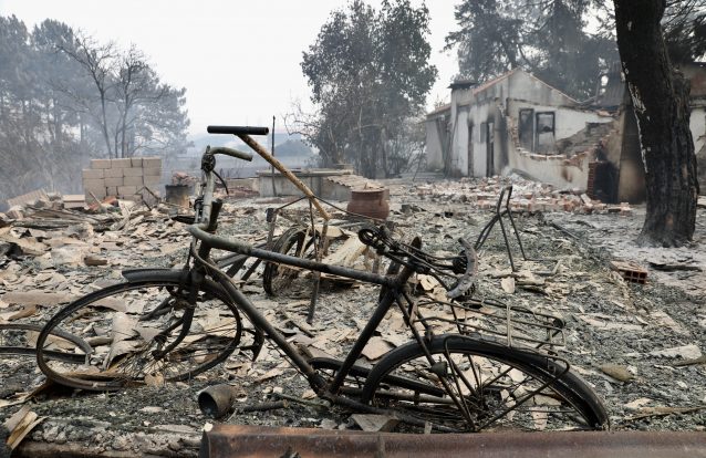 Incêndio deixa rasto de destroços e cinzas em Vieira de Leiria 17