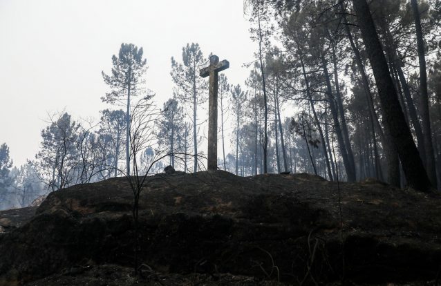 Imagens do incêndio de Monção