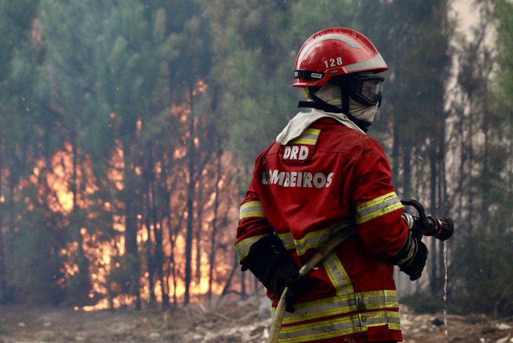 Incêndio deixa rasto de destroços e cinzas em Vieira de Leiria
