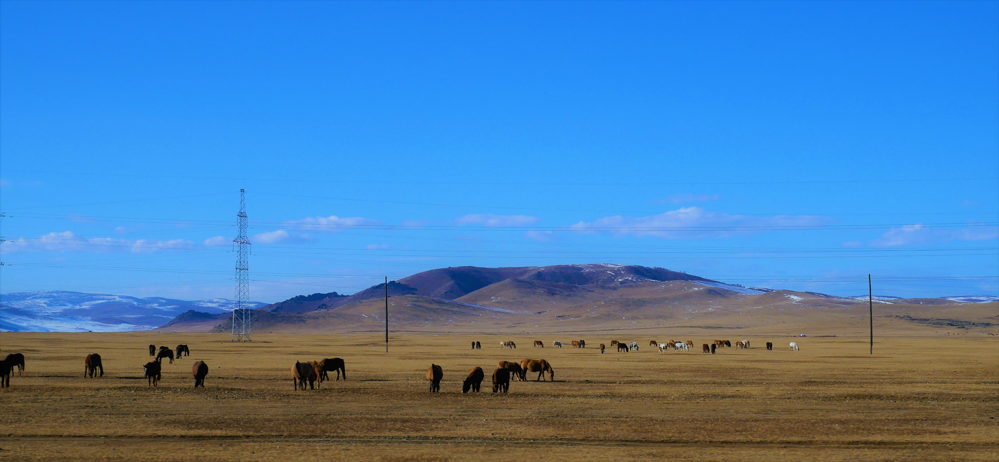 Mongolia 2.jpg