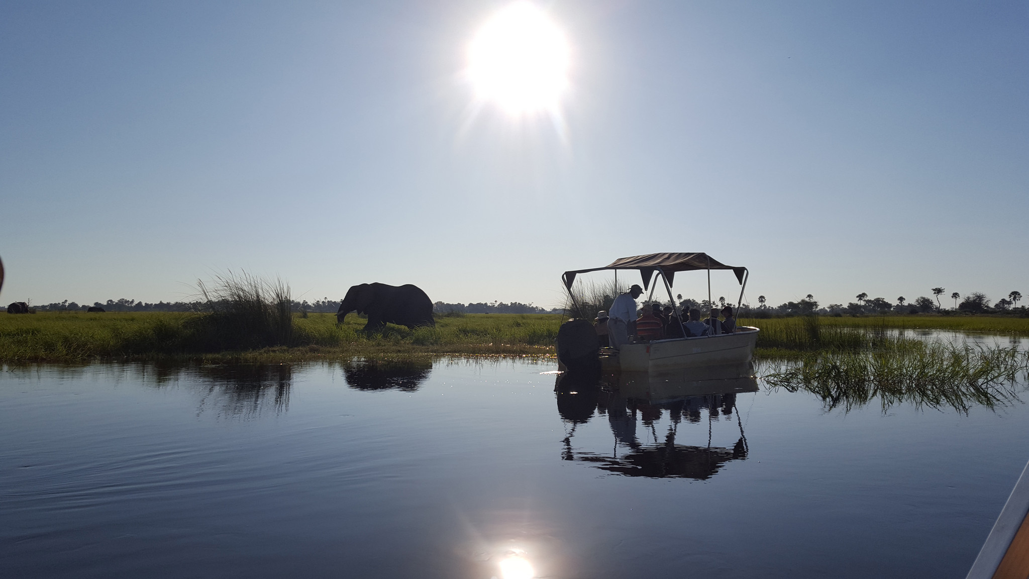 Okavango.jpg