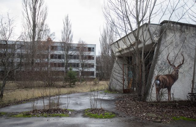 Chernobyl: Onde vivem os fantasmas 3